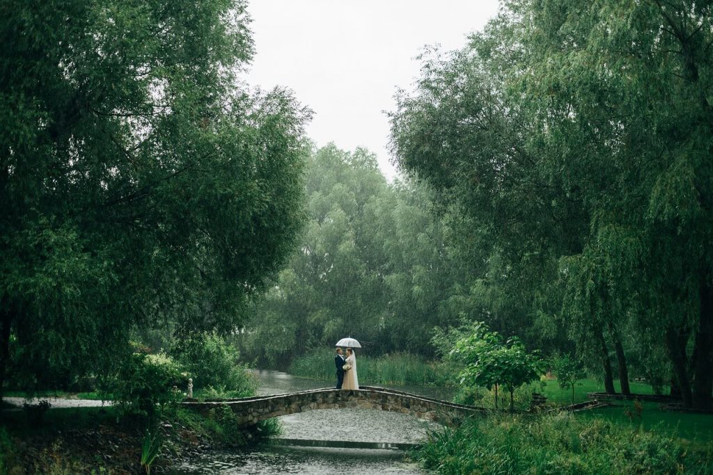 25 Ways to Cut Wedding Costs by Having a Smaller Event park 7407081 1280